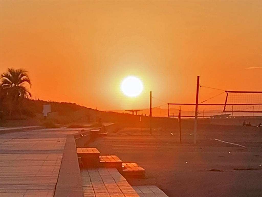 f:id:sho5_919:20200919072647j:image