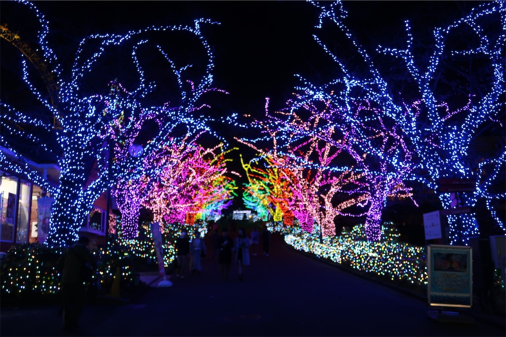 f:id:sho5_919:20201119125100j:image