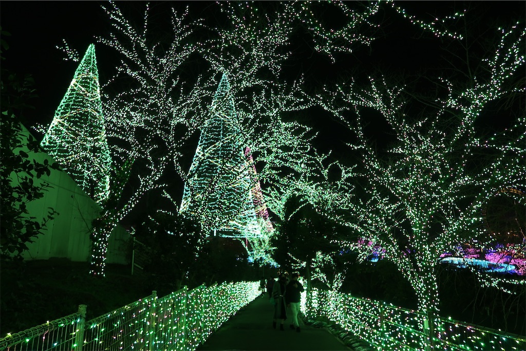 f:id:sho5_919:20201119125323j:image