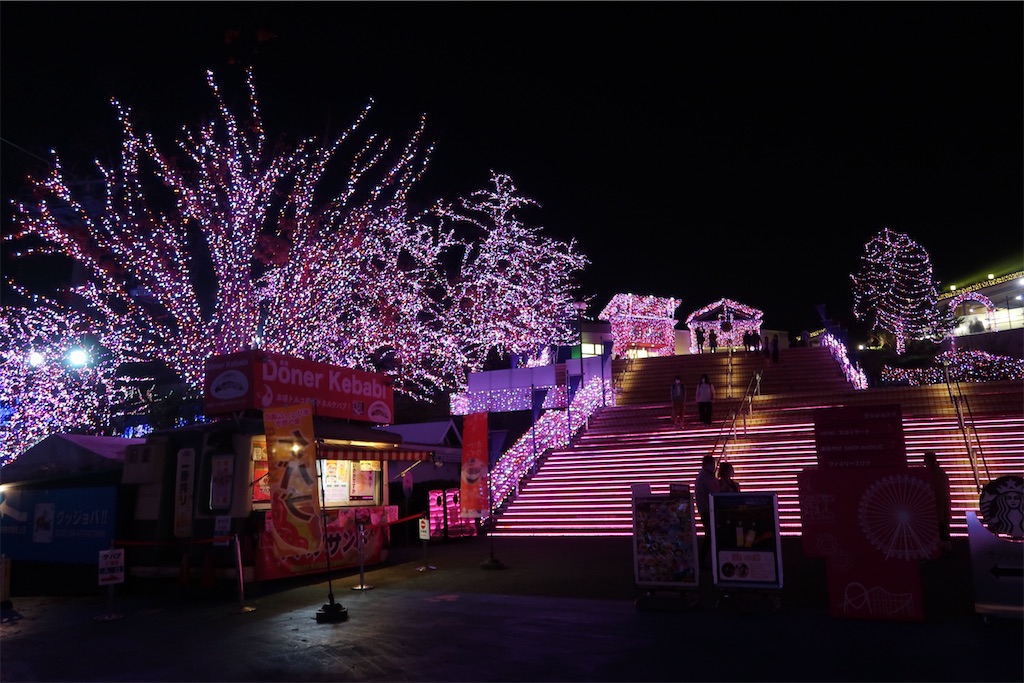 f:id:sho5_919:20201119125435j:image