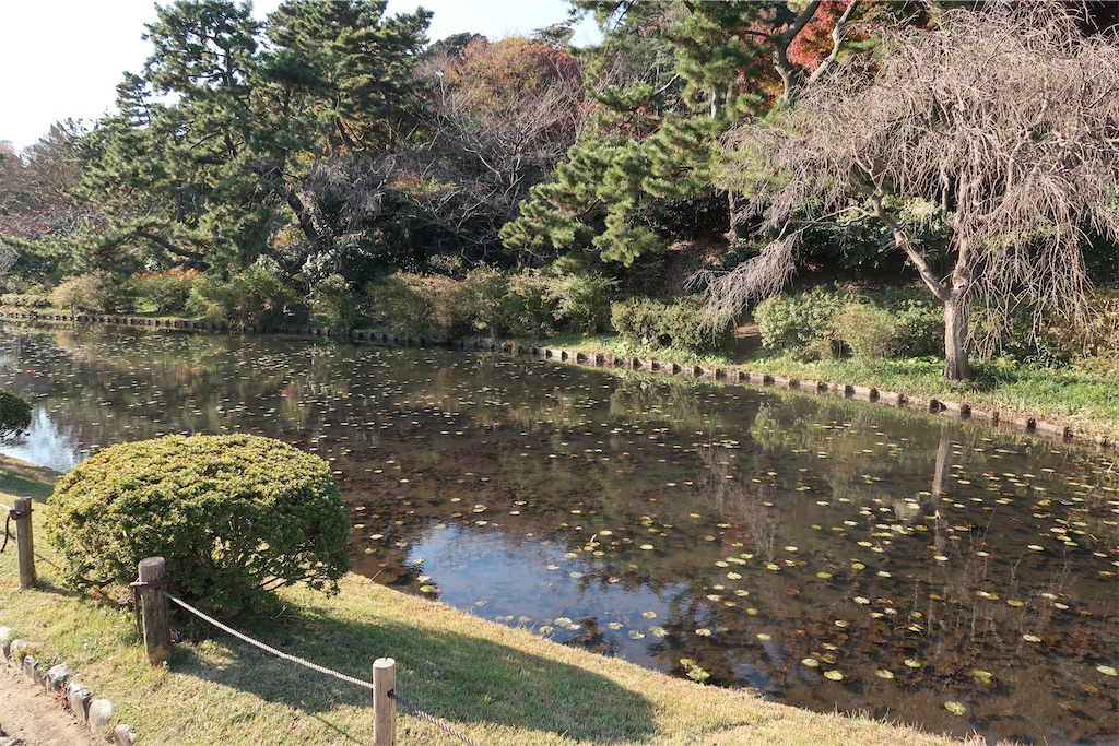 f:id:sho5_919:20201208143816j:image