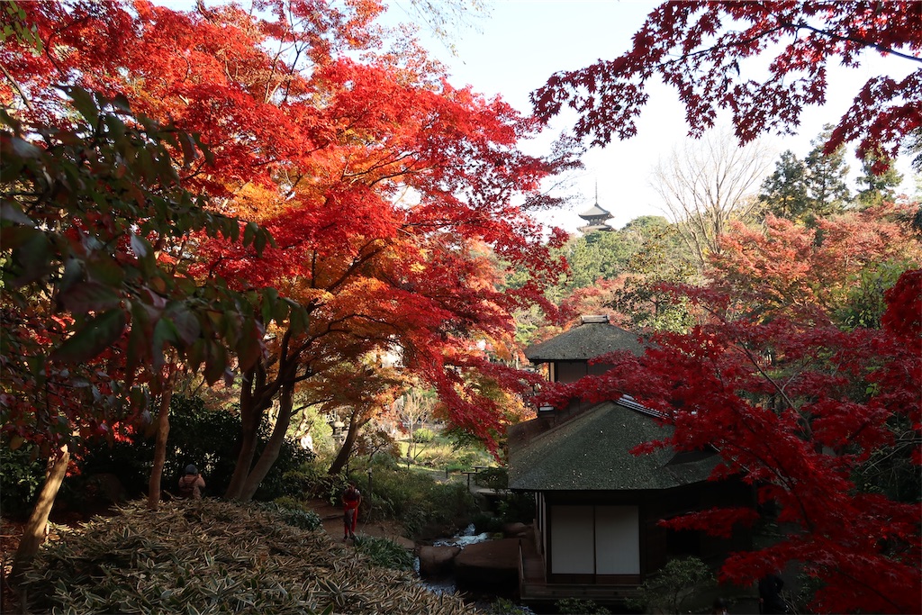 f:id:sho5_919:20201208143823j:image