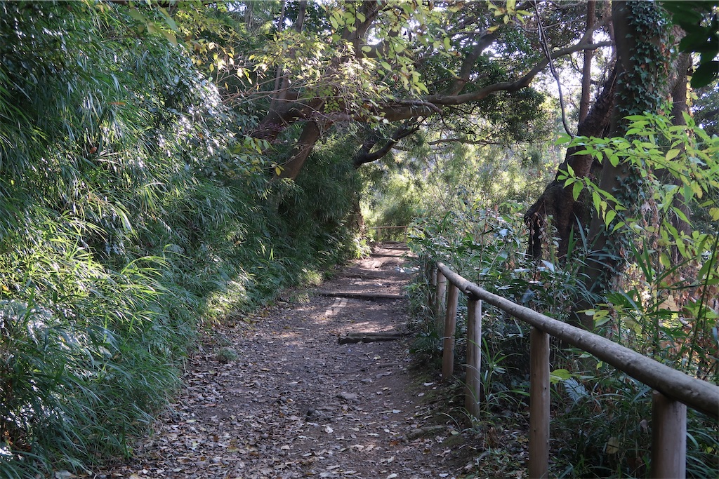 f:id:sho5_919:20201208143831j:image