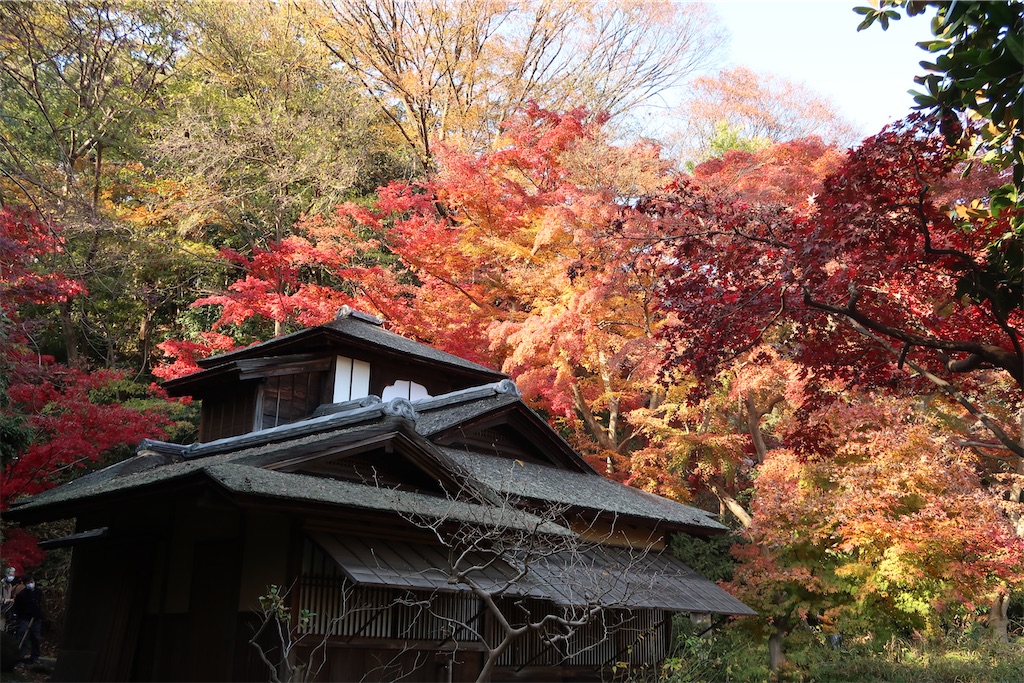 f:id:sho5_919:20201208143838j:image