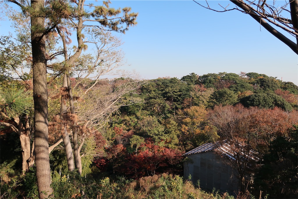 f:id:sho5_919:20201208143913j:image