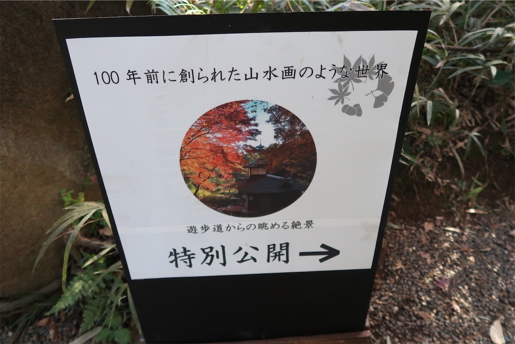 f:id:sho5_919:20201208143920j:image