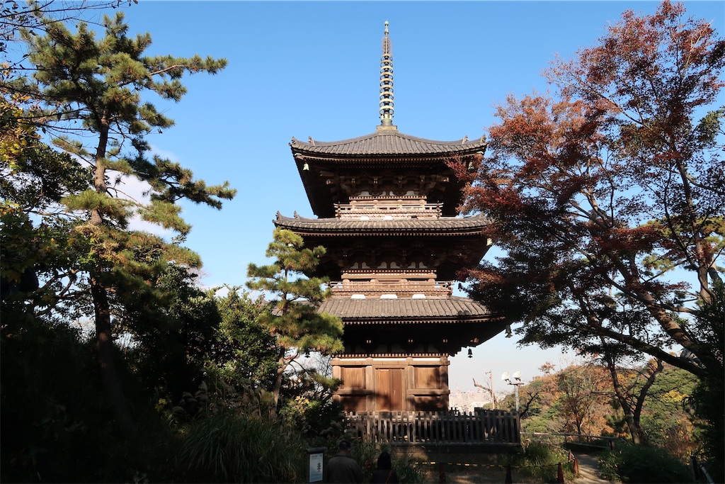 f:id:sho5_919:20201208143925j:image