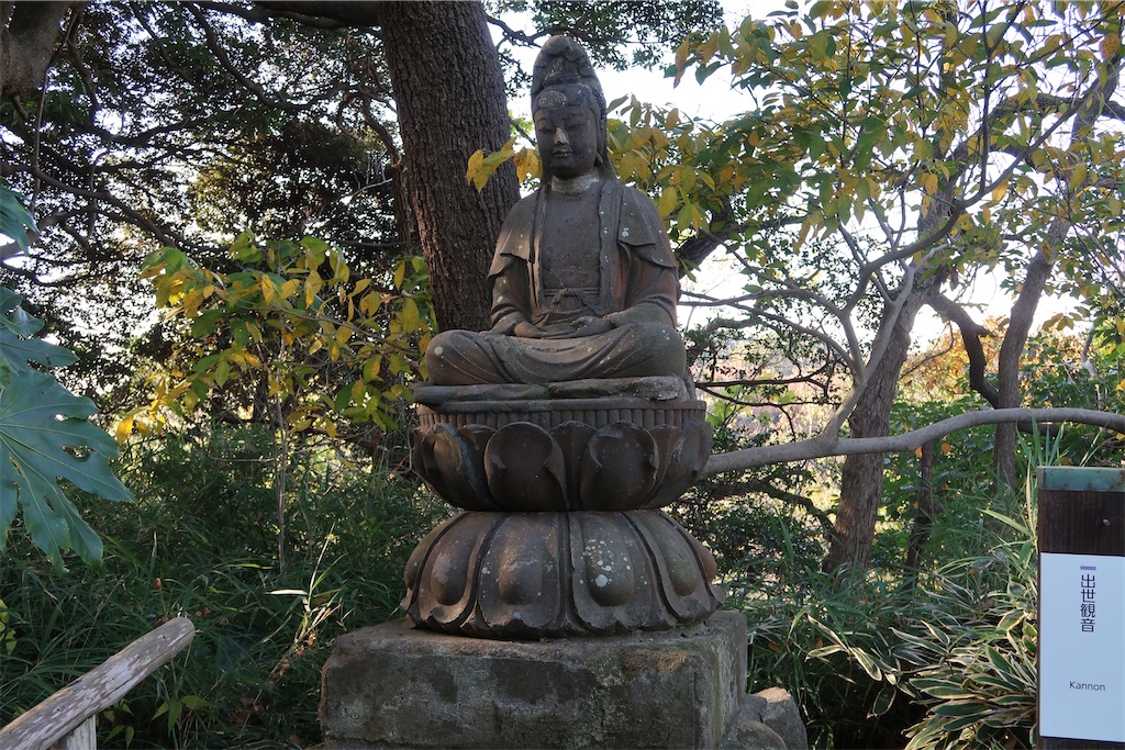 f:id:sho5_919:20201208143929j:image