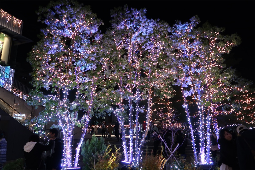 f:id:sho5_919:20201225220749j:image f:id:sho5_919:20201225220749j:image