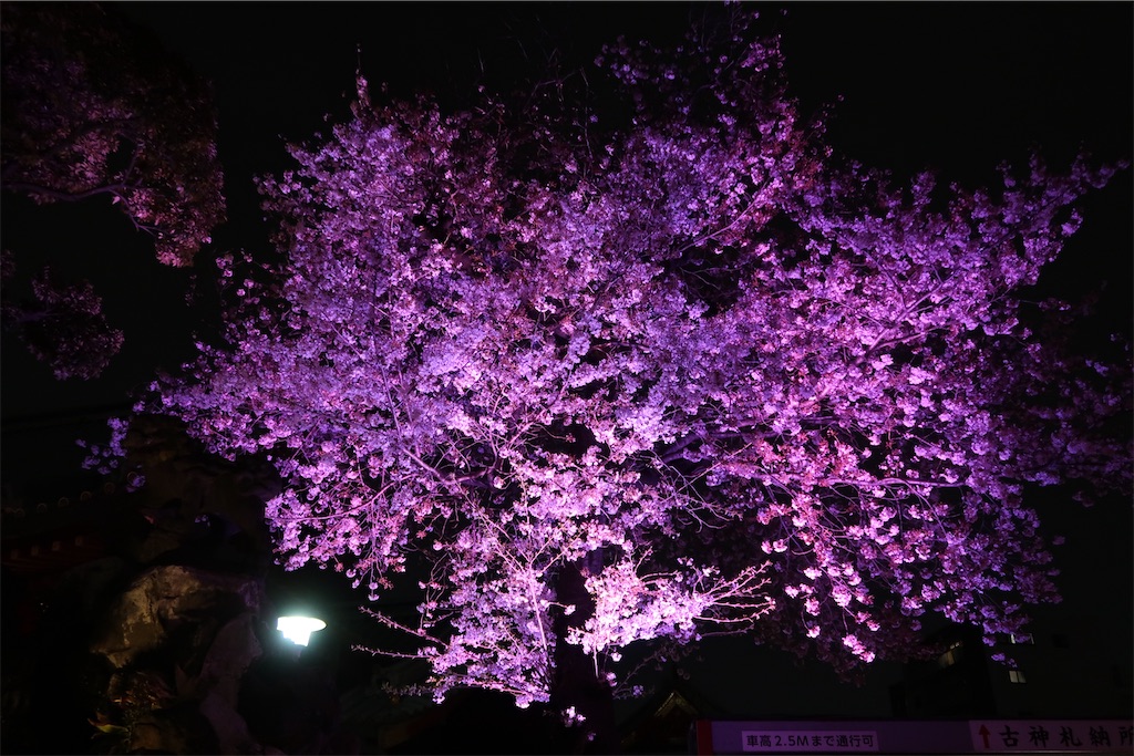f:id:sho5_919:20220402191406j:image