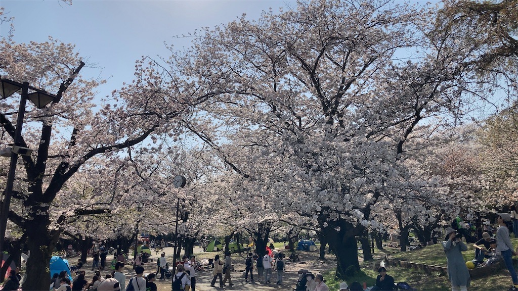 f:id:sho5_919:20230401170408j:image f:id:sho5_919:20230401170408j:image