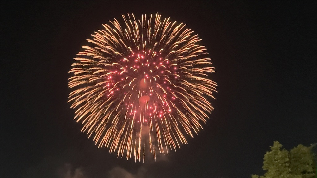 f:id:sho5_919:20230729205028j:image