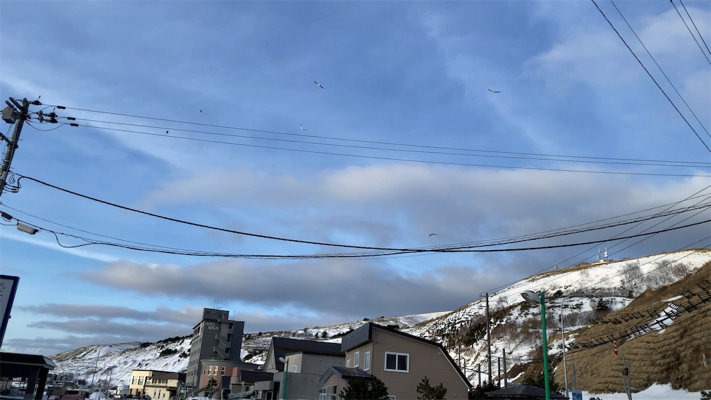 f:id:sho5_919:20240322201112j:image