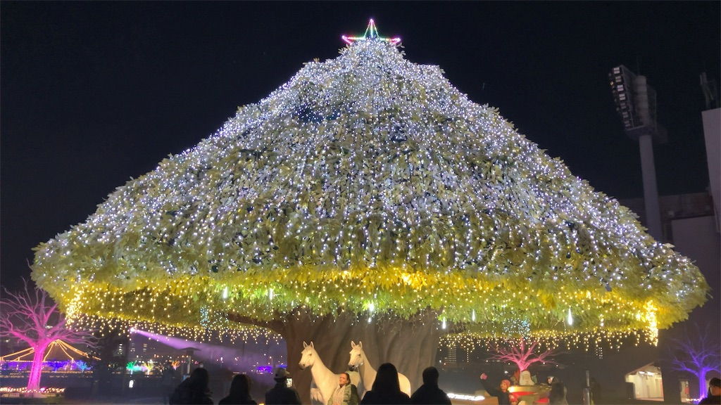 f:id:sho5_919:20241210202145j:image