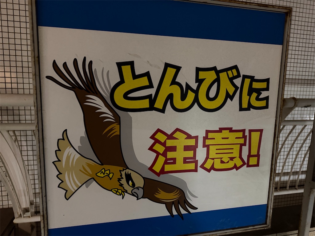 f:id:sho5_919:20260203182508j:image f:id:sho5_919:20260203182508j:image