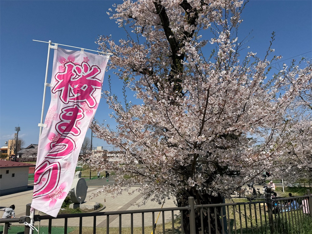 f:id:sho5_919:20260403151140j:image f:id:sho5_919:20260403151140j:image