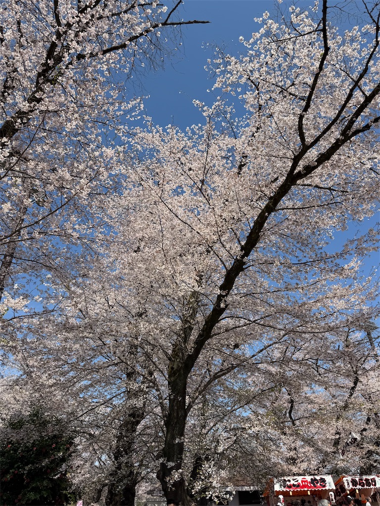 f:id:sho5_919:20260403151209j:image f:id:sho5_919:20260403151209j:image