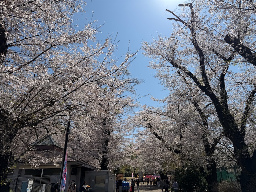 f:id:sho5_919:20260403151228j:image f:id:sho5_919:20260403151228j:image