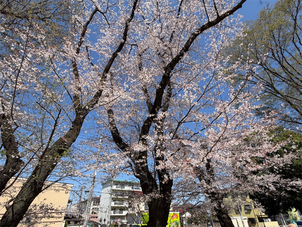 f:id:sho5_919:20260403151232j:image f:id:sho5_919:20260403151232j:image