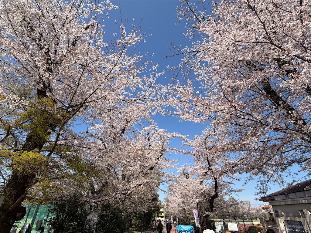 f:id:sho5_919:20260403151237j:image f:id:sho5_919:20260403151237j:image