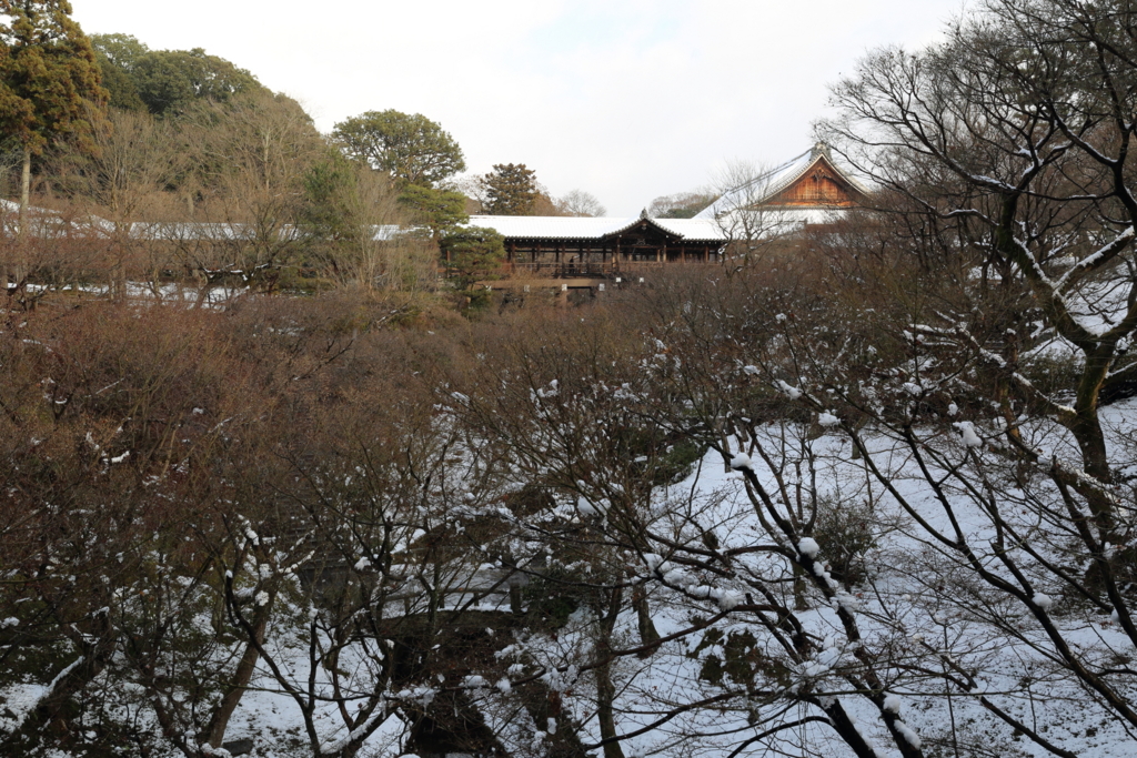f:id:sho_ishi:20170115154256j:plain