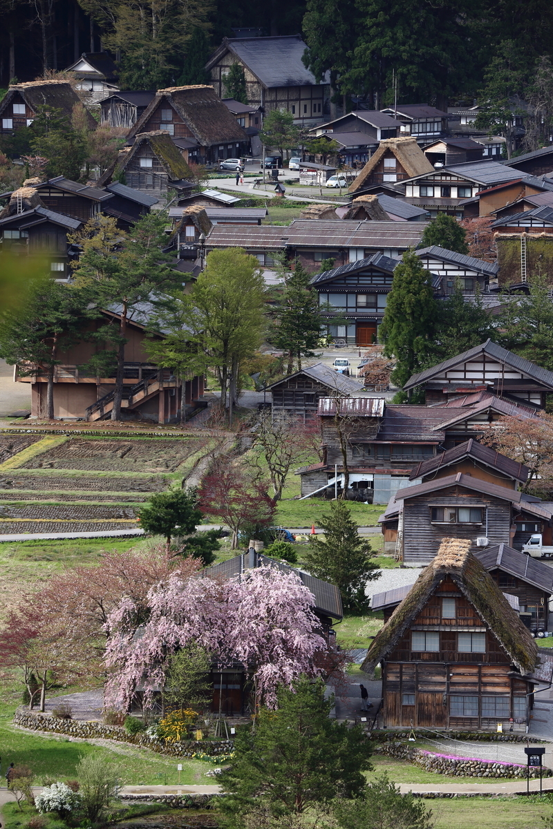 f:id:sho_ishi:20190428074332j:plain