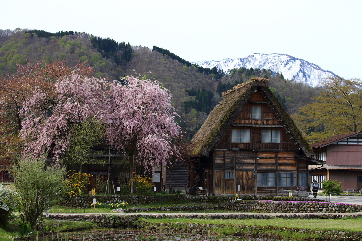 f:id:sho_ishi:20190428084113j:plain