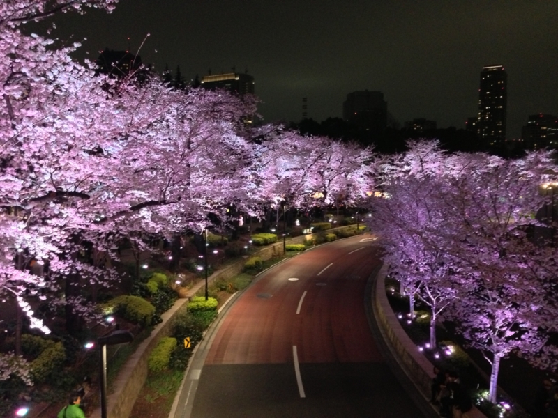 f:id:sho_oza:20130323223647j:image:w400 f:id:sho_oza:20130323223647j:image:w400