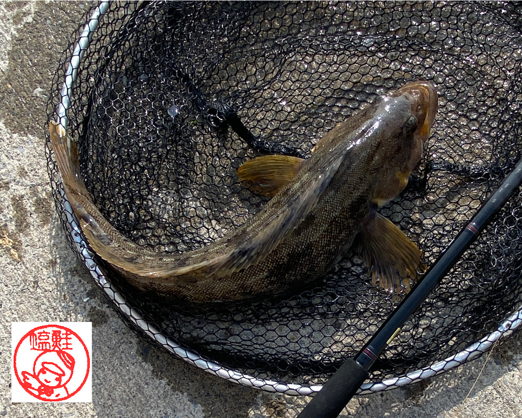 アテネ書房　釣心魚心　釣の裏の手　釣の本　釣ざんまい　露伴釣談　釣師気質　釣魚譜 アテネ書房 釣心魚心 釣の裏の手 釣の本 釣ざんまい 露伴