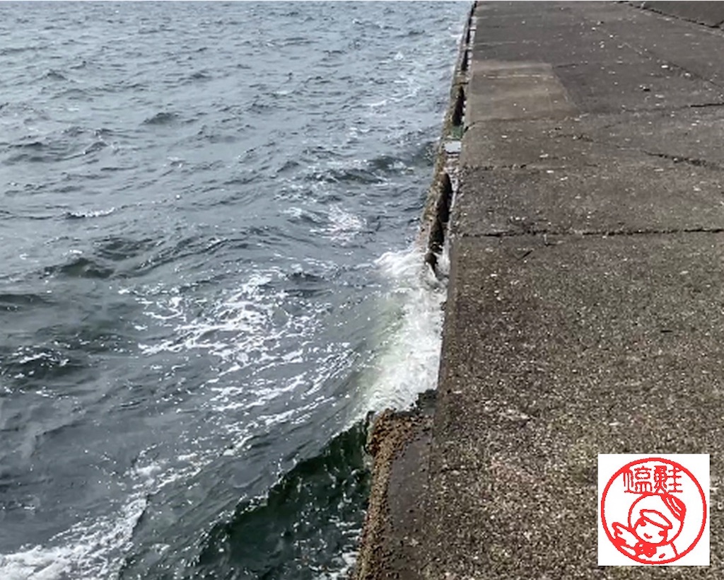強風の時の落とし込み釣り ﾟwﾟ ﾉ 塩ジャケ好きやねん