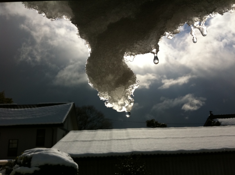 f:id:shobuno:20110102124912j:image