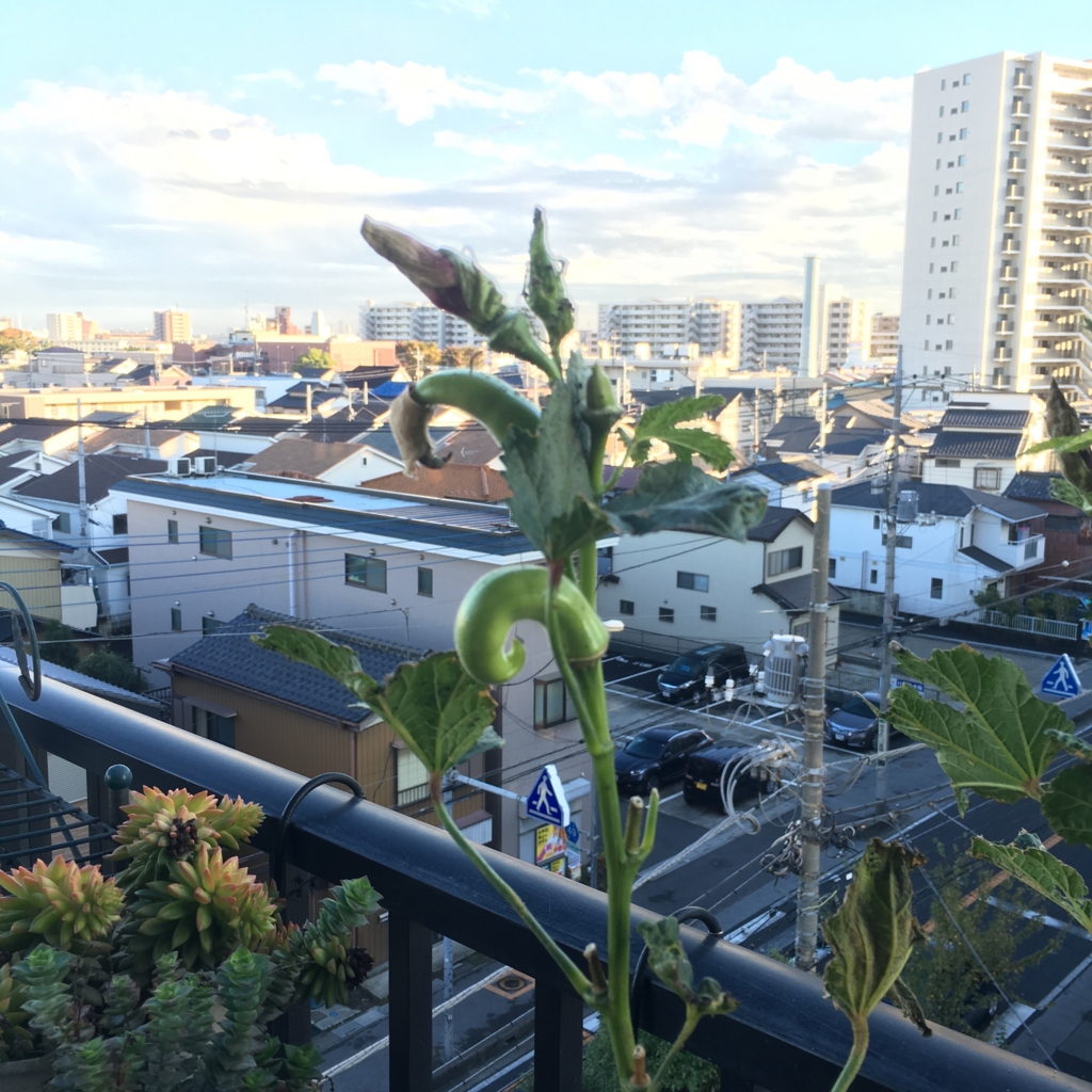 f:id:shobuno:20151115151622j:plain