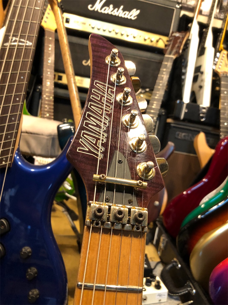 f:id:shockersguitar:20211122175004j:image