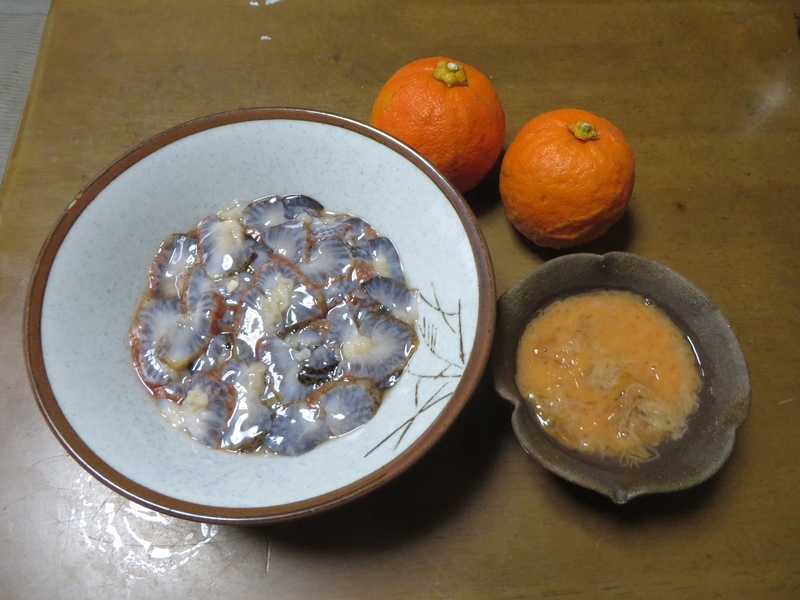 今夜の酒の肴は 海鼠(なまこ)に海鼠腸(このわた)に卵巣(このこ) - 小豆島テストパイロット物語