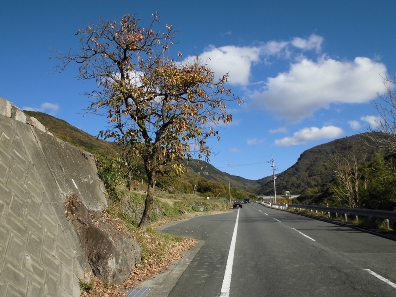 天気がいいので 小豆島中山地区の 千枚田を見に行きました 笑み 小豆島テストパイロット物語