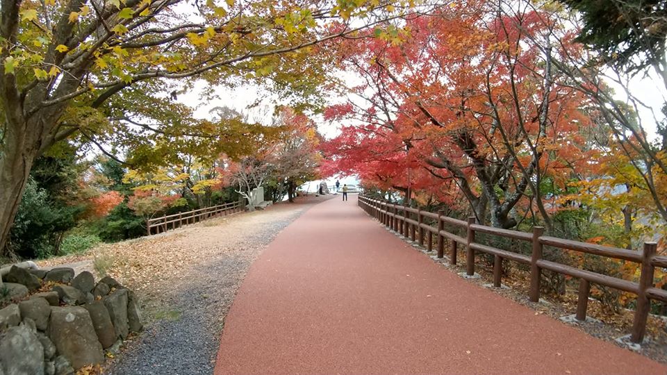 f:id:shodoshimatest:20191122182841j:plain f:id:shodoshimatest:20191122182841j:plain