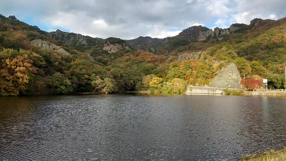 f:id:shodoshimatest:20191122182944j:plain f:id:shodoshimatest:20191122182944j:plain