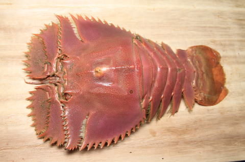 f:id:shoesmaster:20210922233624p:plain