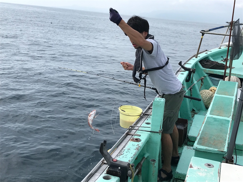 f:id:shofuku-maru:20190821192149j:image