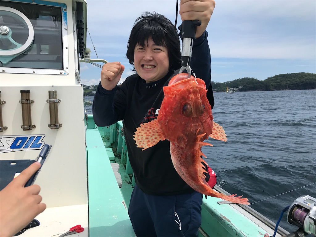 f:id:shofuku-maru:20200620201017j:image