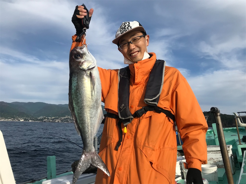 f:id:shofuku-maru:20201020194314j:image