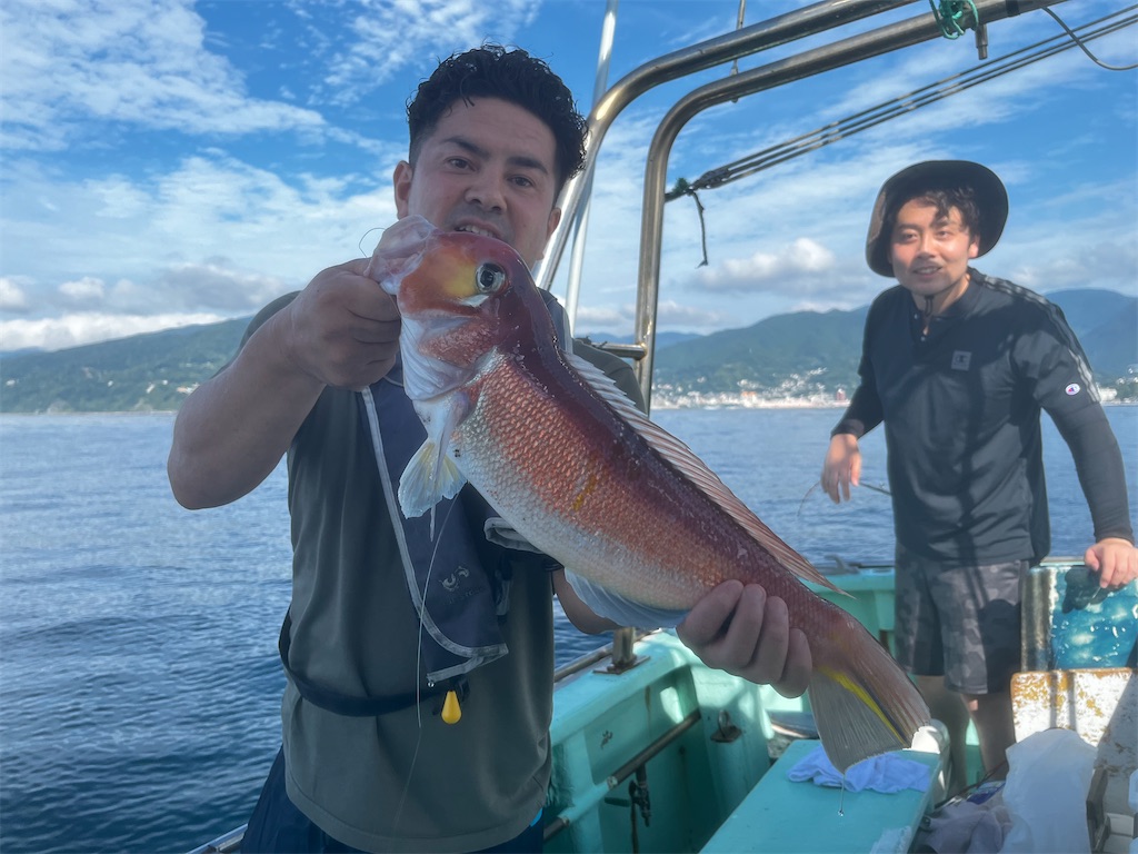 f:id:shofuku-maru:20240727182709j:image