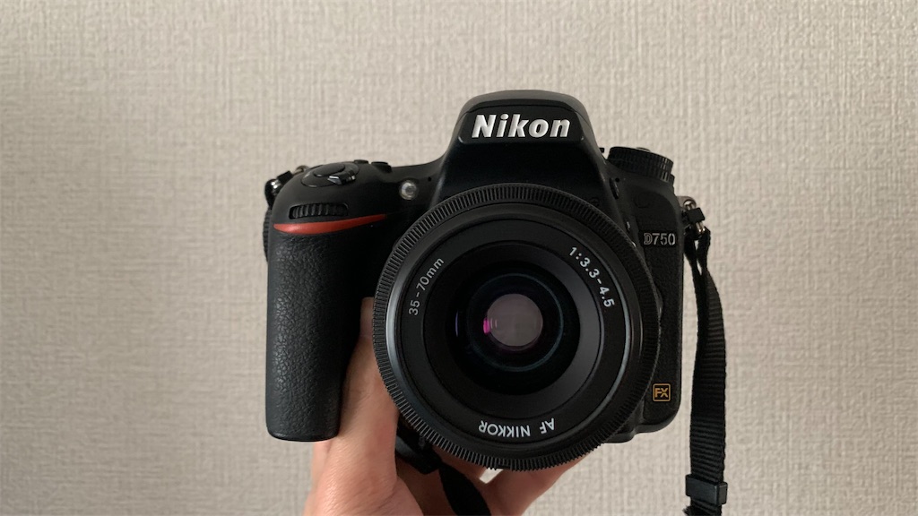 f:id:shogaitabibito:20240428130250j:image