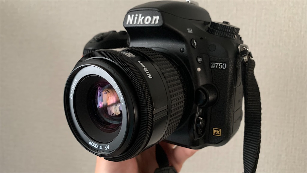 f:id:shogaitabibito:20240428130254j:image