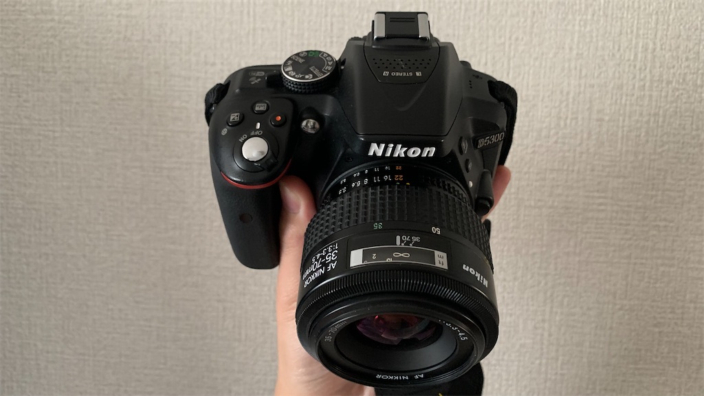 f:id:shogaitabibito:20240428140836j:image