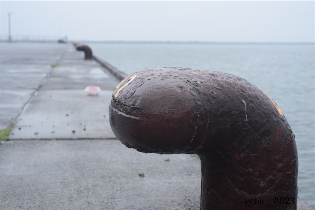 f:id:shogaitabibito:20240430210109j:image