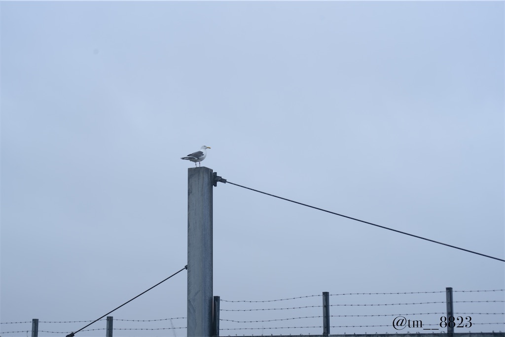 f:id:shogaitabibito:20240430210429j:image