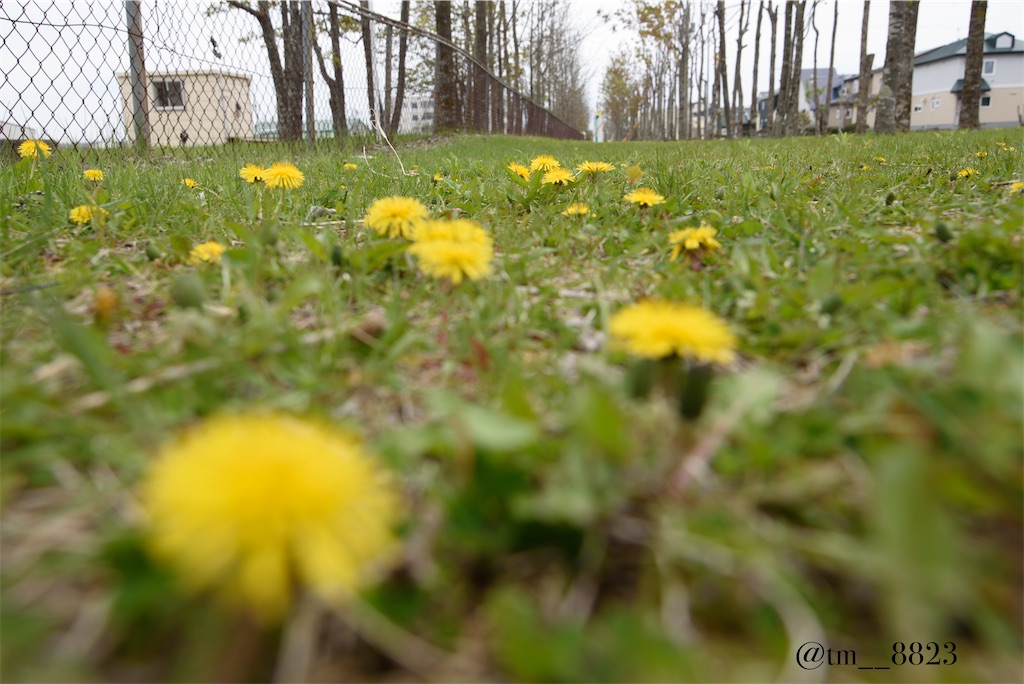 f:id:shogaitabibito:20240507085148j:image