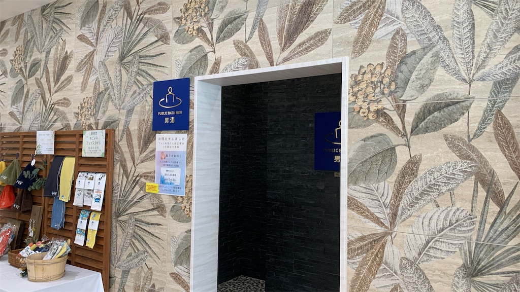 f:id:shogaitabibito:20241231215217j:image