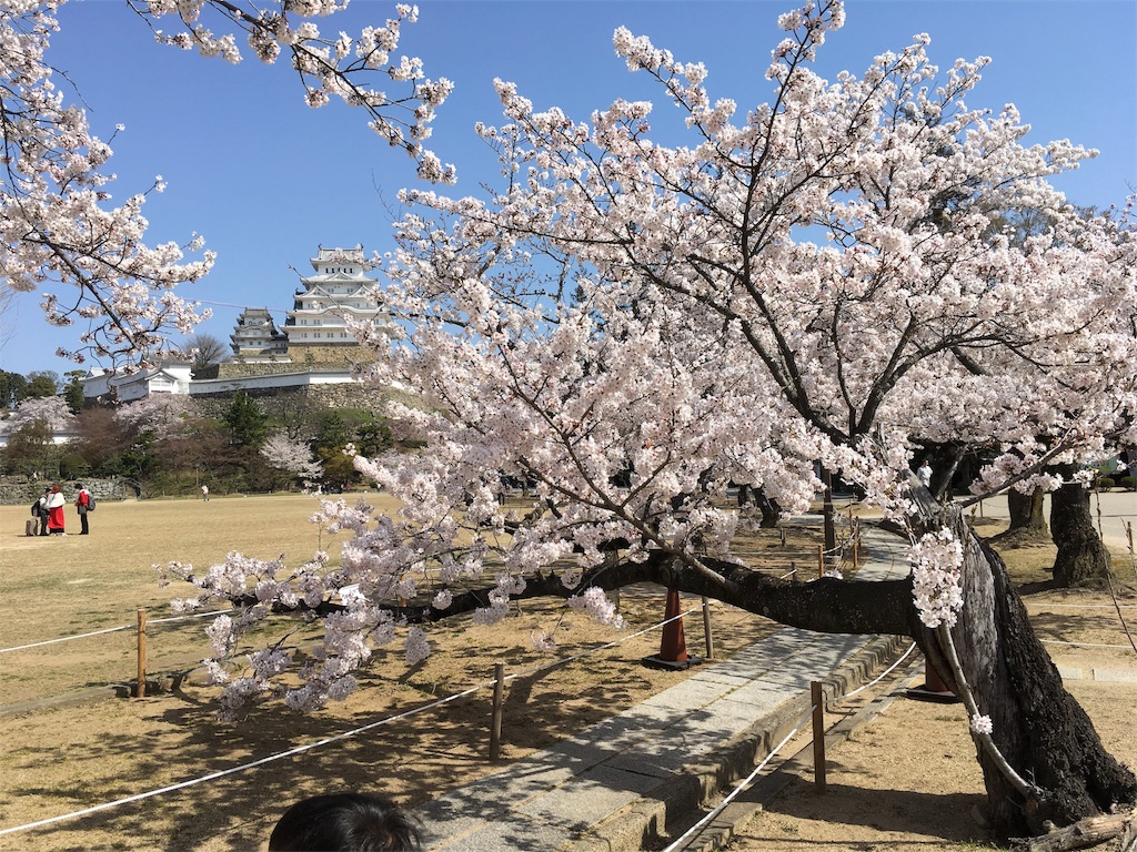 f:id:shogot1978:20180408190805j:image
